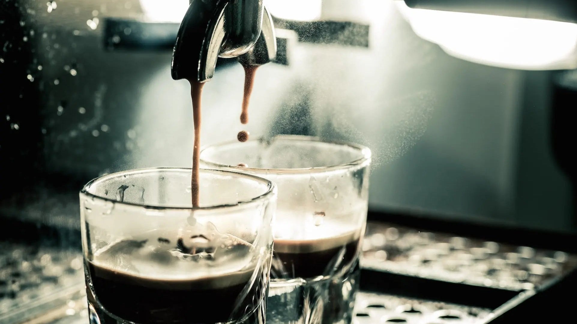 Our-top-10-twitter-rants-against-decaf-we-ve-found-so-far Decadent Decaf Coffee Company
