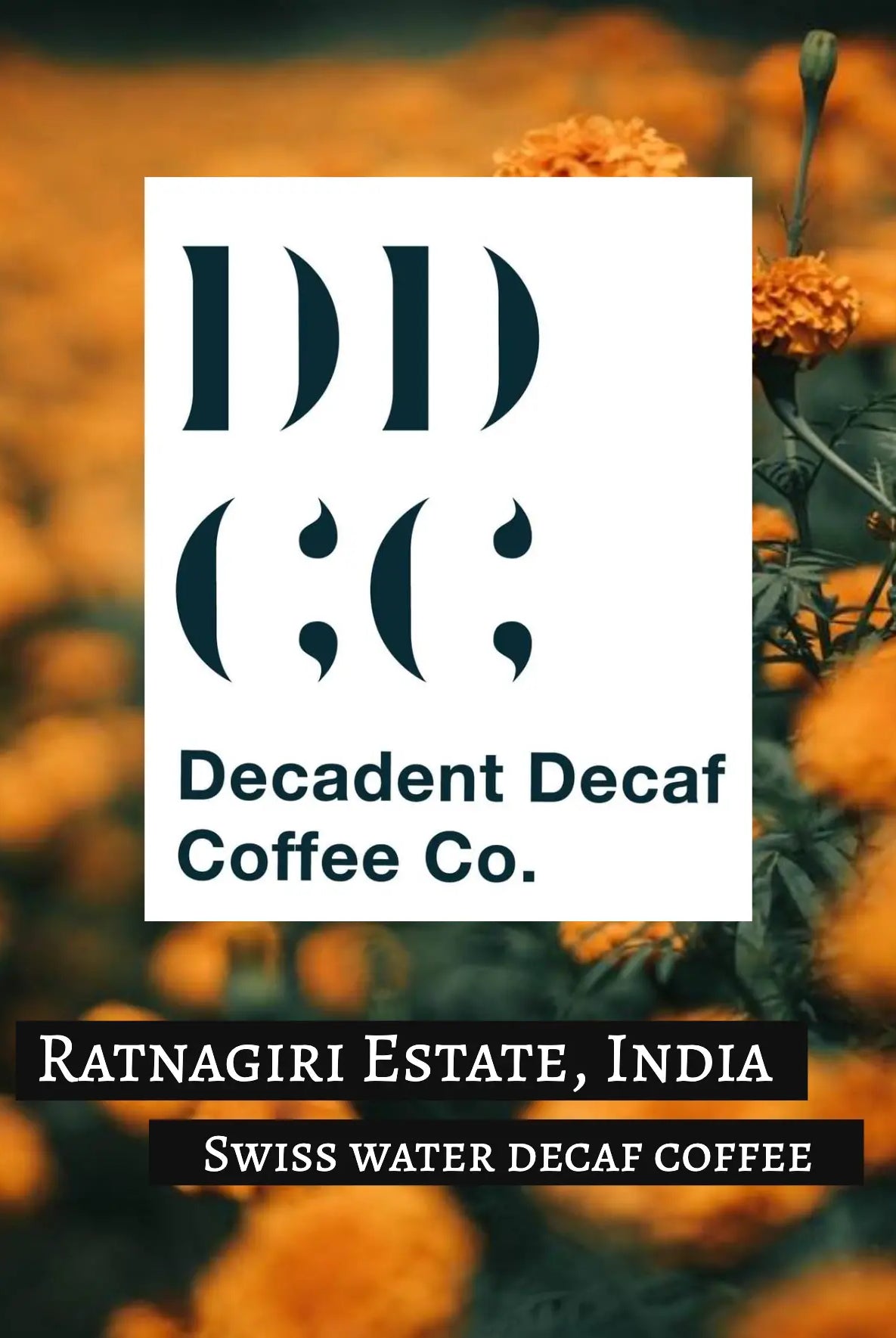 India Decaffeinated Coffee - Swiss Water Decaf Process