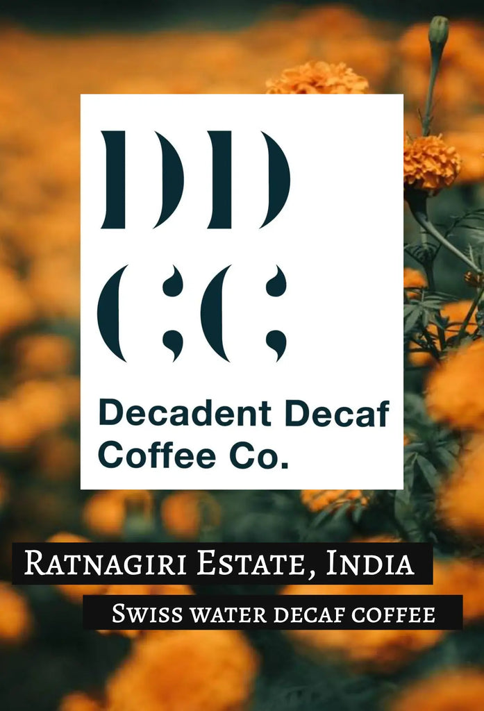 India Decaffeinated Coffee - Swiss Water Decaf Process
